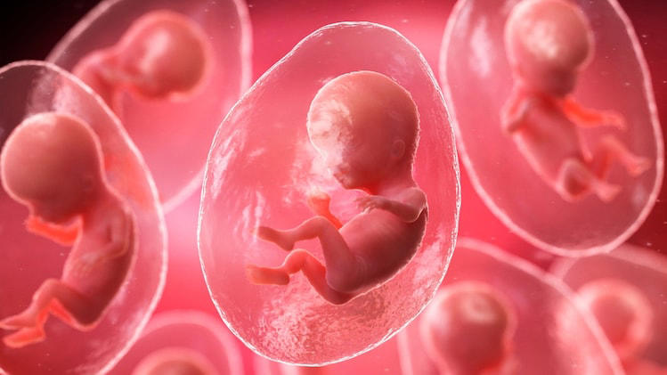 40 vjeçarja lind foshnjën e parë me IVF me anë të robotit që funksionon me AI